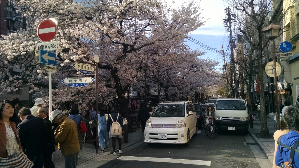 Turn to the left or right in Kyoto and you see blossoms lining the streets.