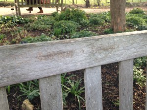 WE FOUND THE WILL AND LYRA BENCH!!