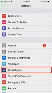 In Settings, choose "Siri & Search"