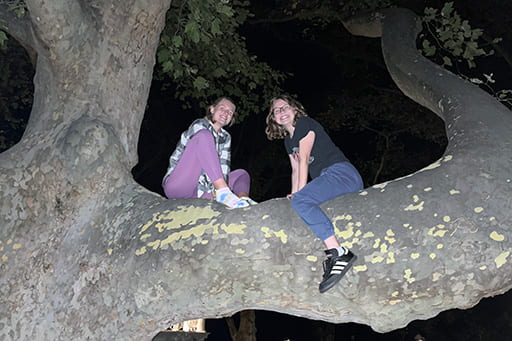 Pan Deines and their roommate sitting in a tree at night.