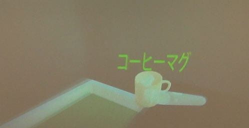 Immersive VR Japanese Language